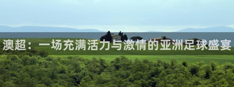 熊猫体育官方网站