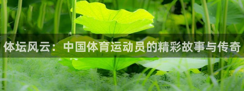 熊猫体育公园