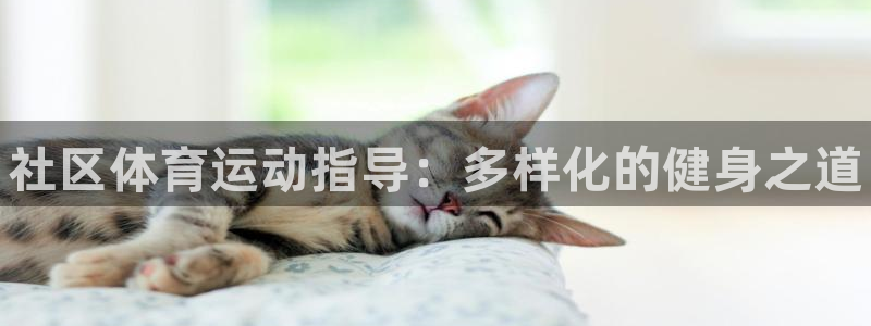 熊猫体育公园