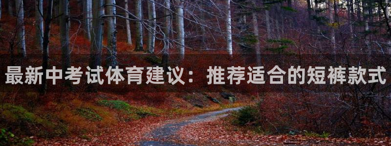 动感熊猫体育公园