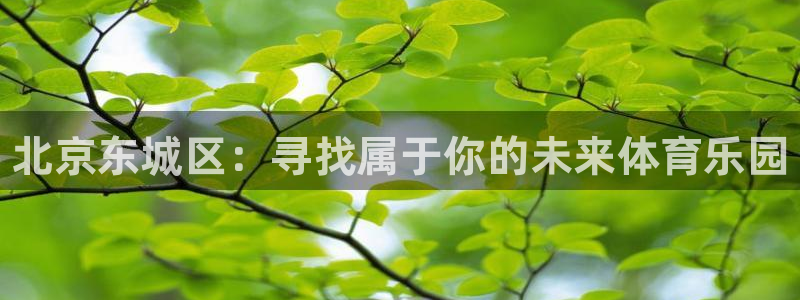 熊猫体育app官网入口