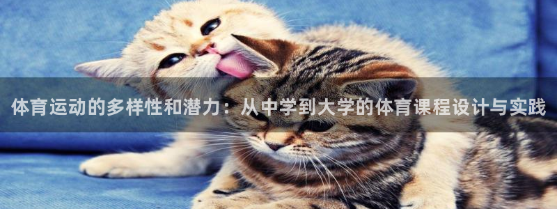 熊猫体育app下载安装