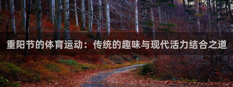熊猫体育平台
