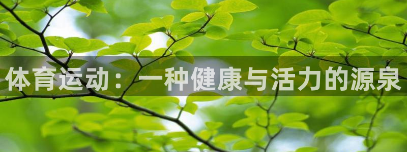 熊猫体育直播