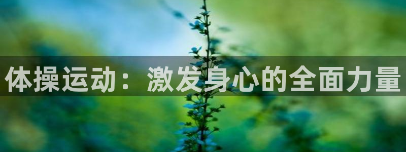 熊猫体育直播nba