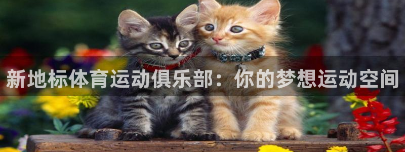 中山熊猫体育
