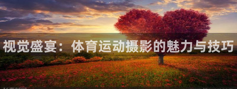 熊猫体育比赛直播