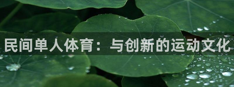 熊猫体育公园价格