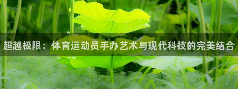 熊猫体育怎么样