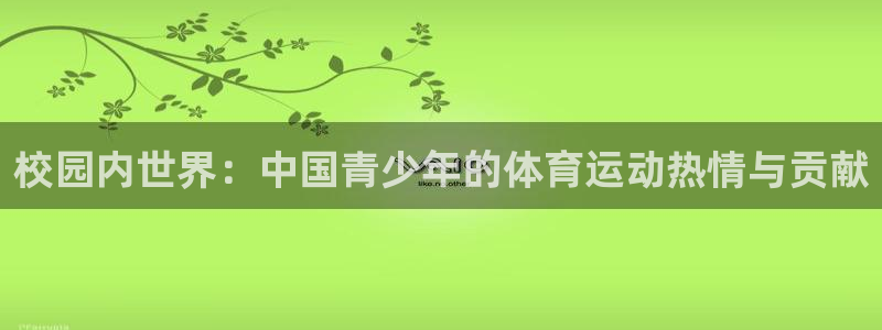 熊猫体育文化有限公司