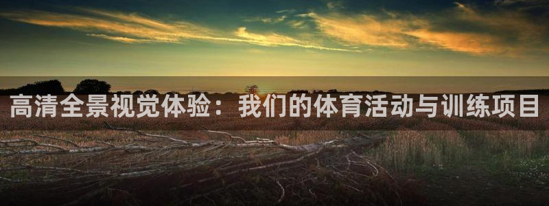 181熊猫体育