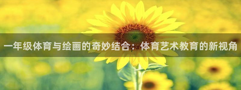 熊猫体育网址