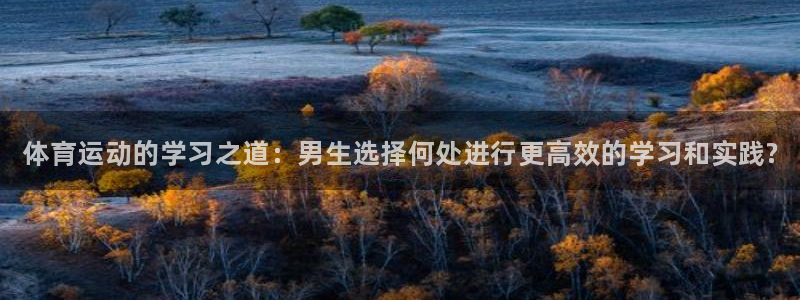 熊猫体育怎么样