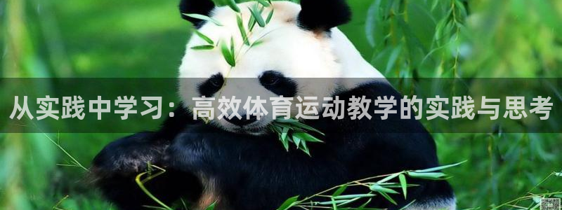 熊猫体育官网