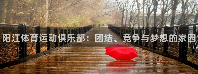 中山熊猫体育