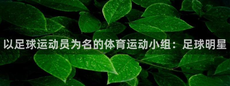 熊猫体育网址