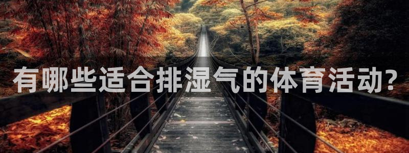 中山熊猫体育